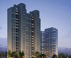 西利标识2019年4月刊 总第170期