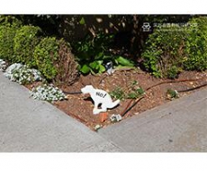 标识创意设计的基本概念