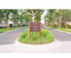 房地产项目标识系统的概念丨院长观点